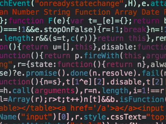 Web Development
